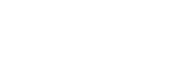 Nelpro Project Solutions logo
